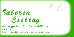 valeria csillag business card